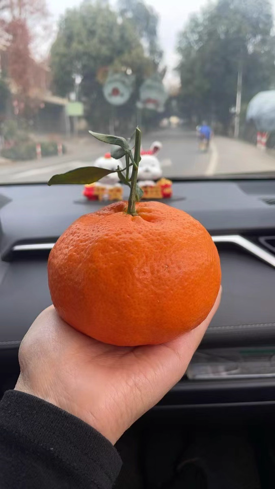 四川丹棱甘平鲜果柑橘好吃多汁 10斤