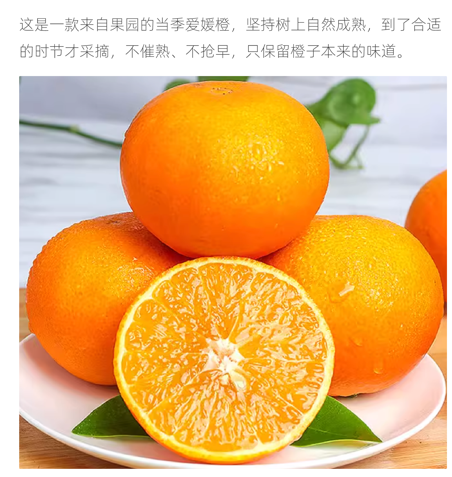 容器 1@1x (10).png