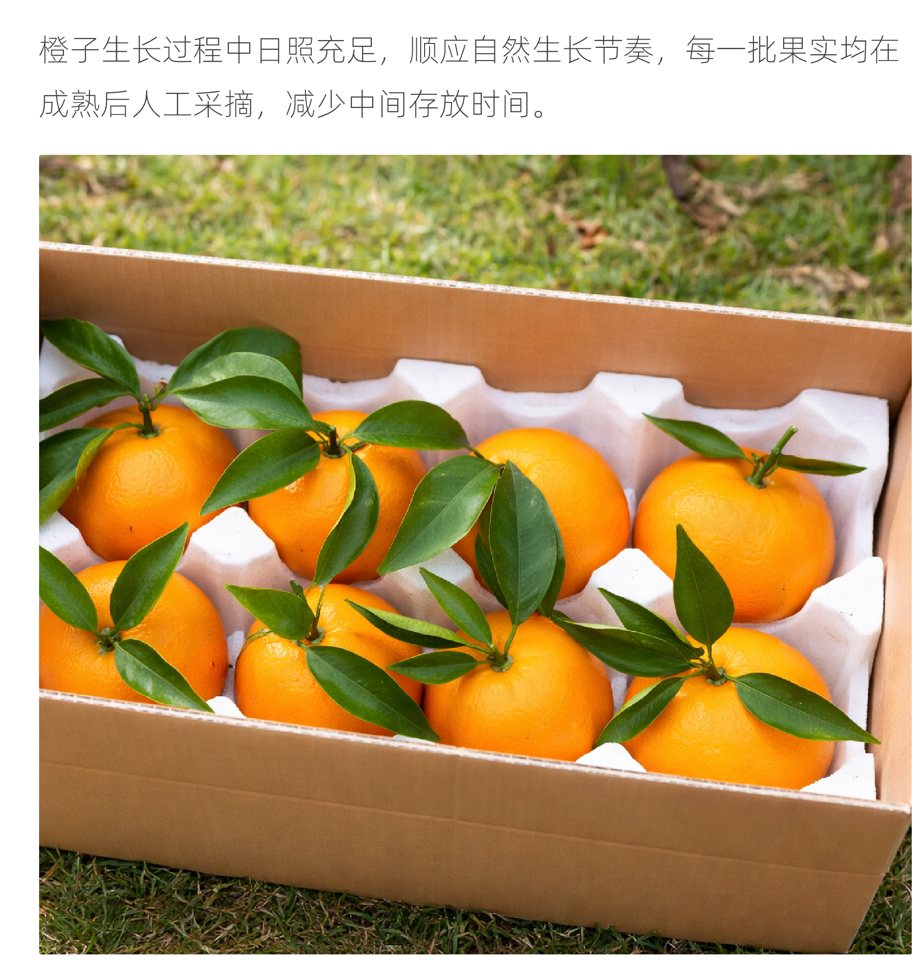 容器 2@1x (10).png